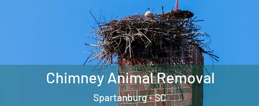 Chimney Animal Removal Spartanburg - SC