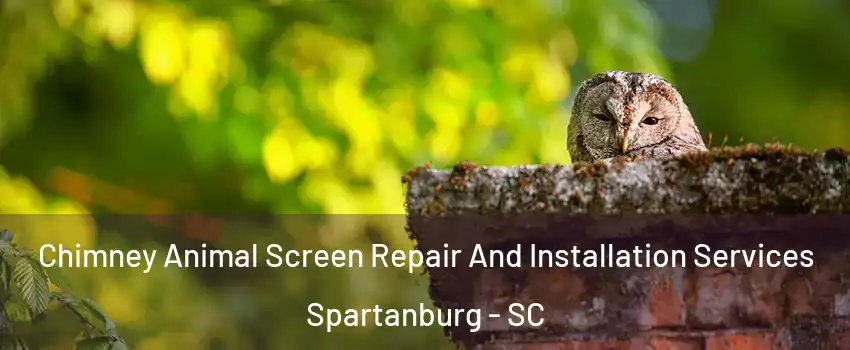  Chimney Animal Screen Repair And Installation Services Spartanburg - SC