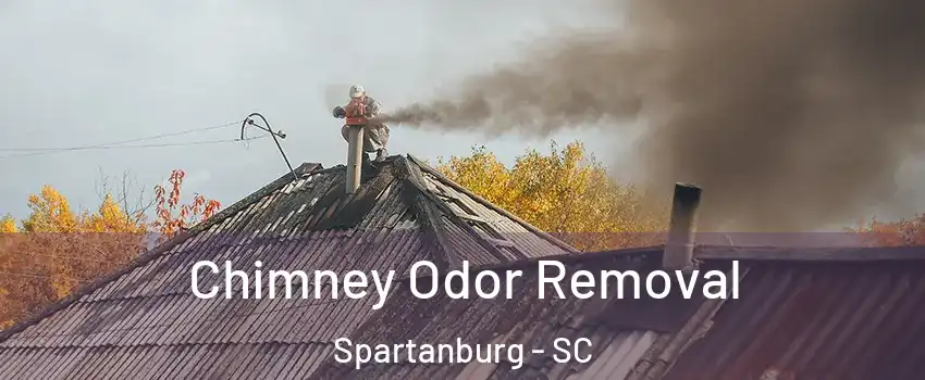  Chimney Odor Removal Spartanburg - SC