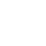 Professional Chimney Flue Installation in Spartanburg, South Carolina