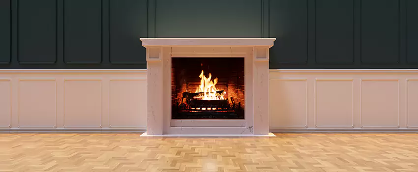 Napoleon Electric Fireplaces Inspection Service in Spartanburg, South Carolina