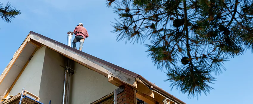 Birds Removal Contractors from Chimney in Spartanburg, SC