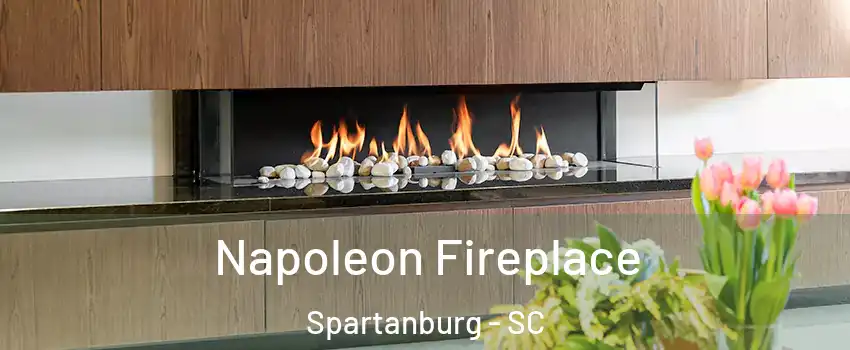  Napoleon Fireplace Spartanburg - SC