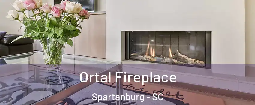 Ortal Fireplace Spartanburg - SC